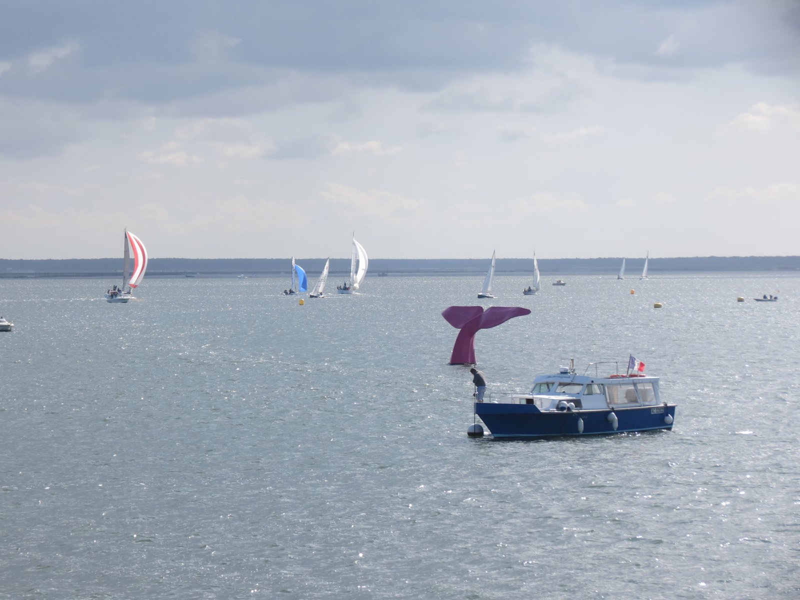 Le port de plaisance d'Arcachon