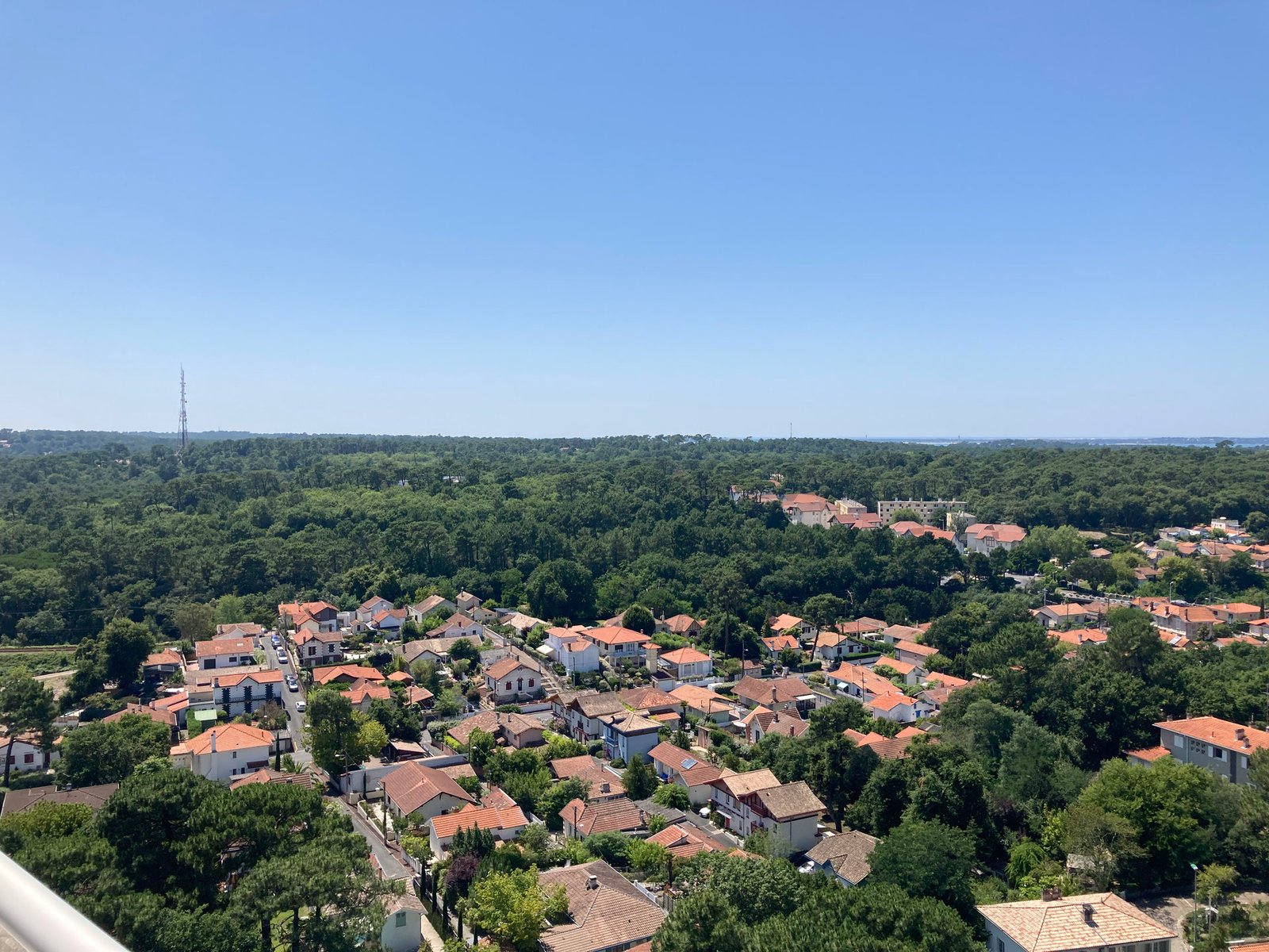 Côté forêt