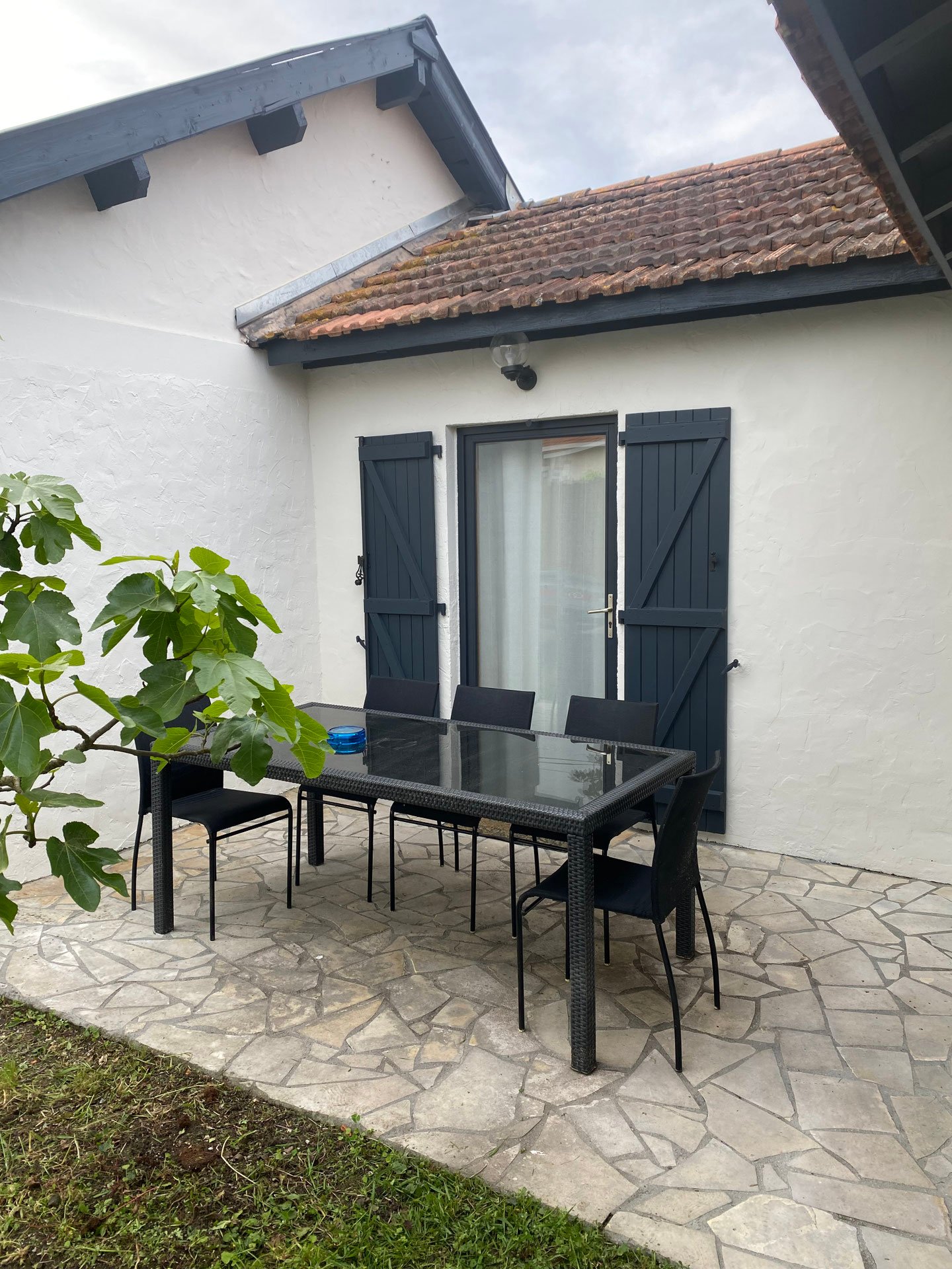 La terrasse sud derrière le figuier